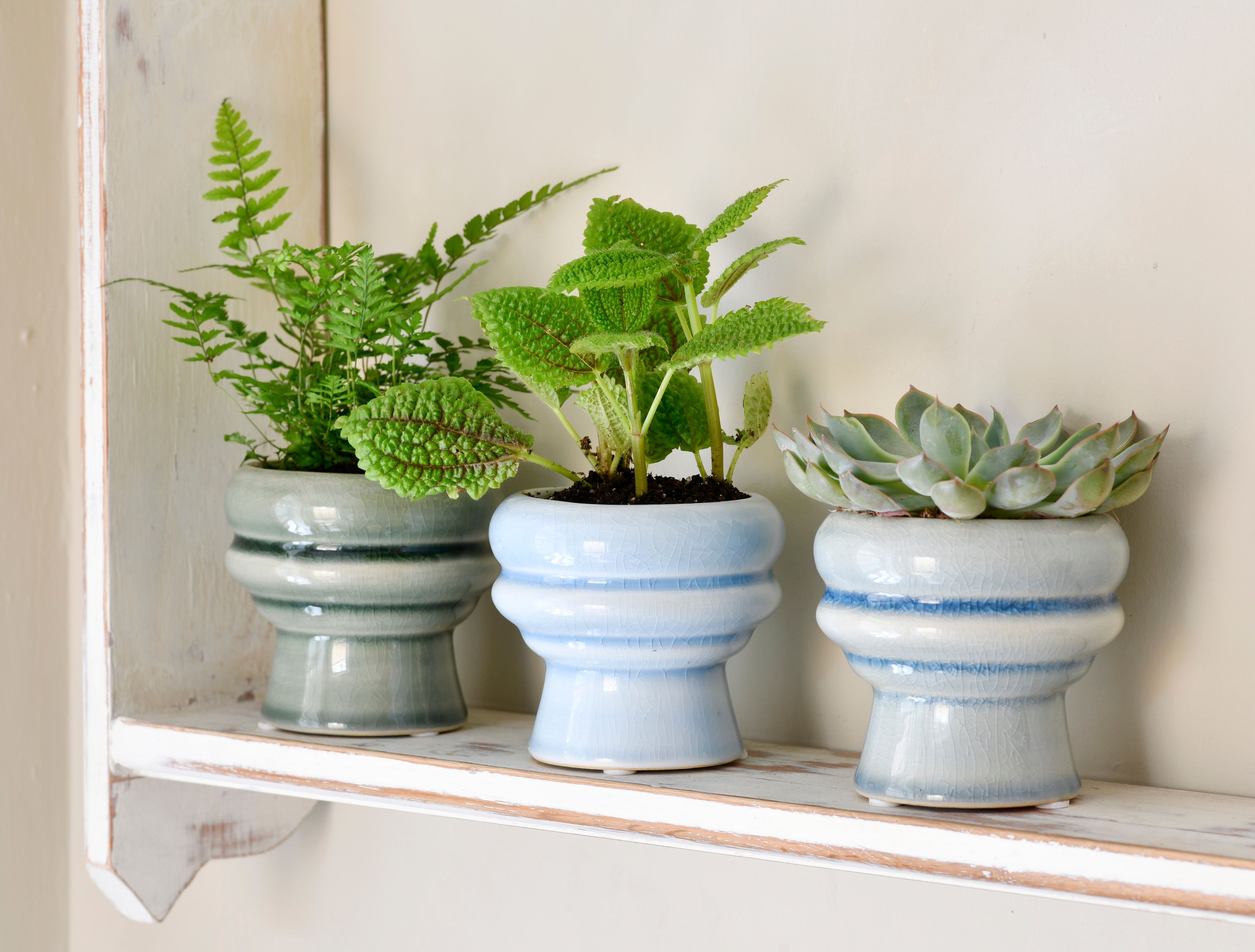 New indoor pots from Burgon & Ball make 'on-trend- easy